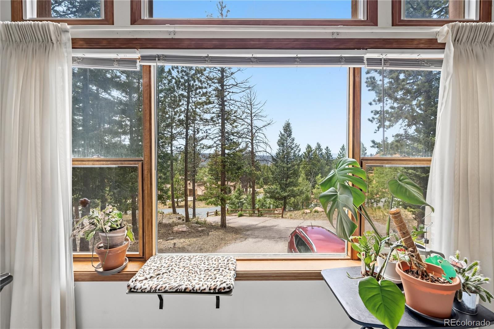 MLS Image #11 for 1241  forest edge road,woodland park, Colorado