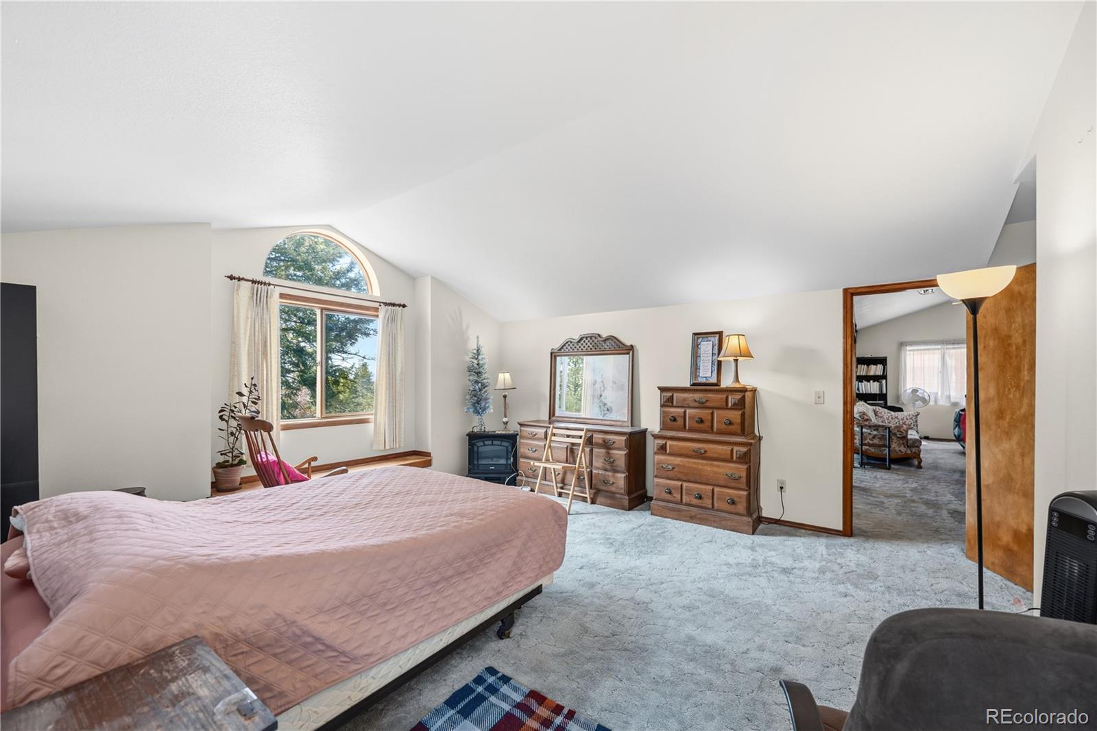 MLS Image #17 for 1241  forest edge road,woodland park, Colorado
