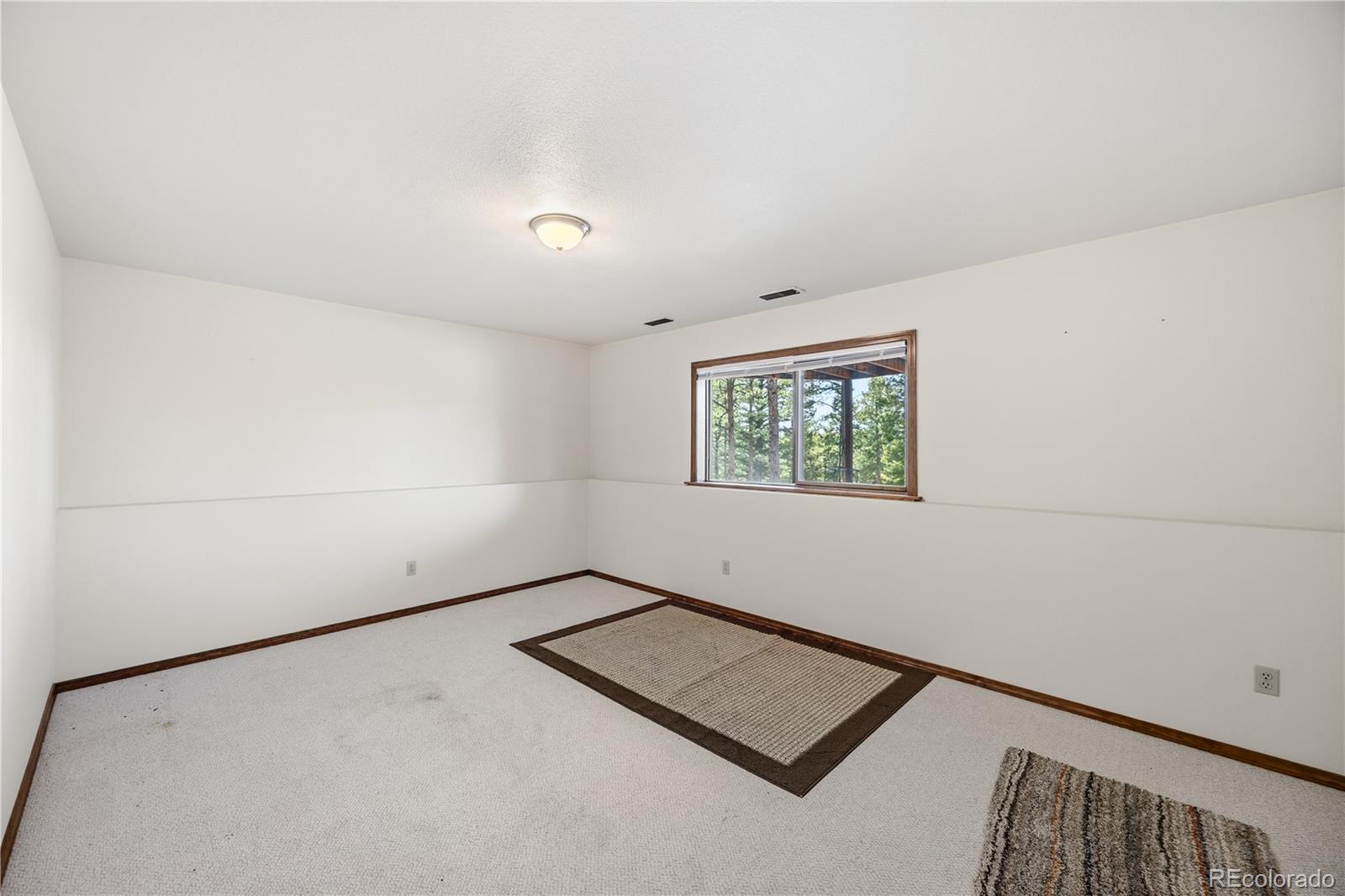 MLS Image #22 for 1241  forest edge road,woodland park, Colorado