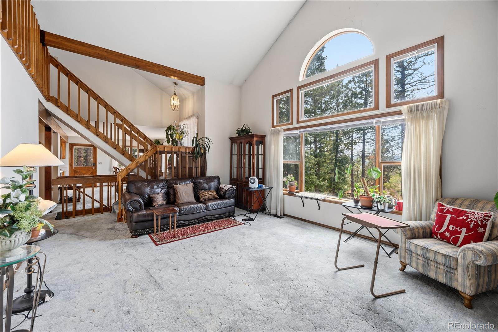 MLS Image #9 for 1241  forest edge road,woodland park, Colorado