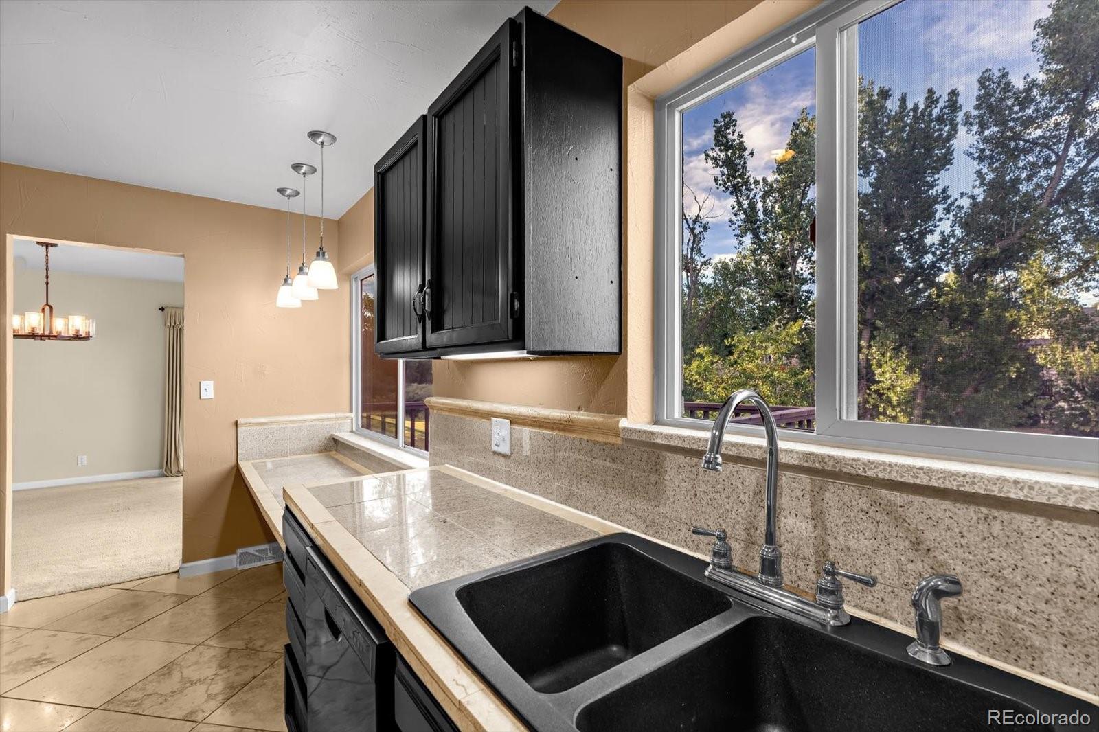 MLS Image #11 for 4663 w ponds circle,littleton, Colorado