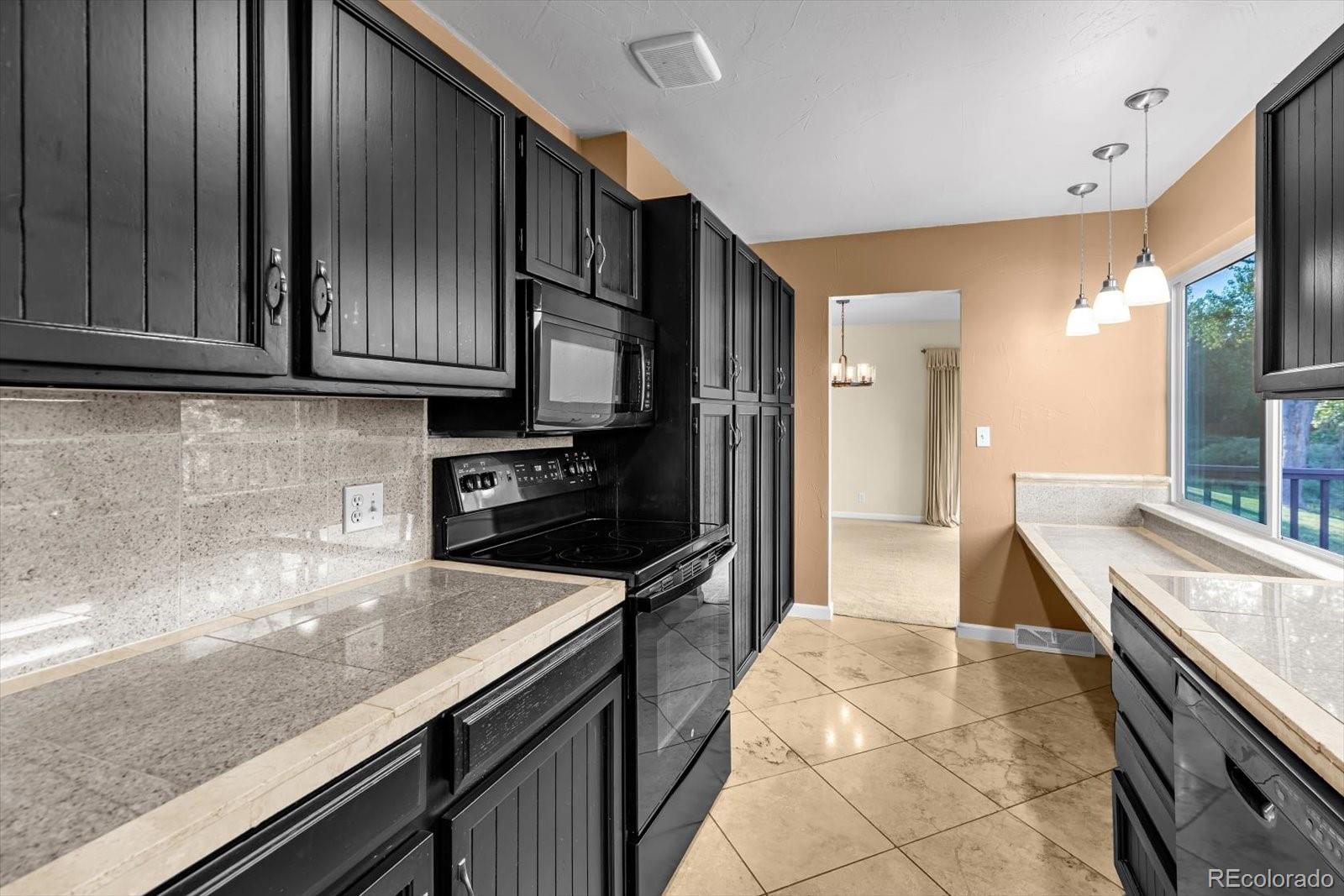 MLS Image #12 for 4663 w ponds circle,littleton, Colorado
