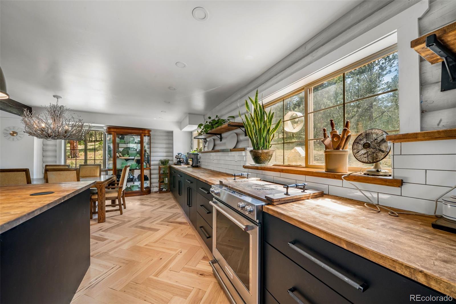 MLS Image #16 for 986  apache road,florissant, Colorado