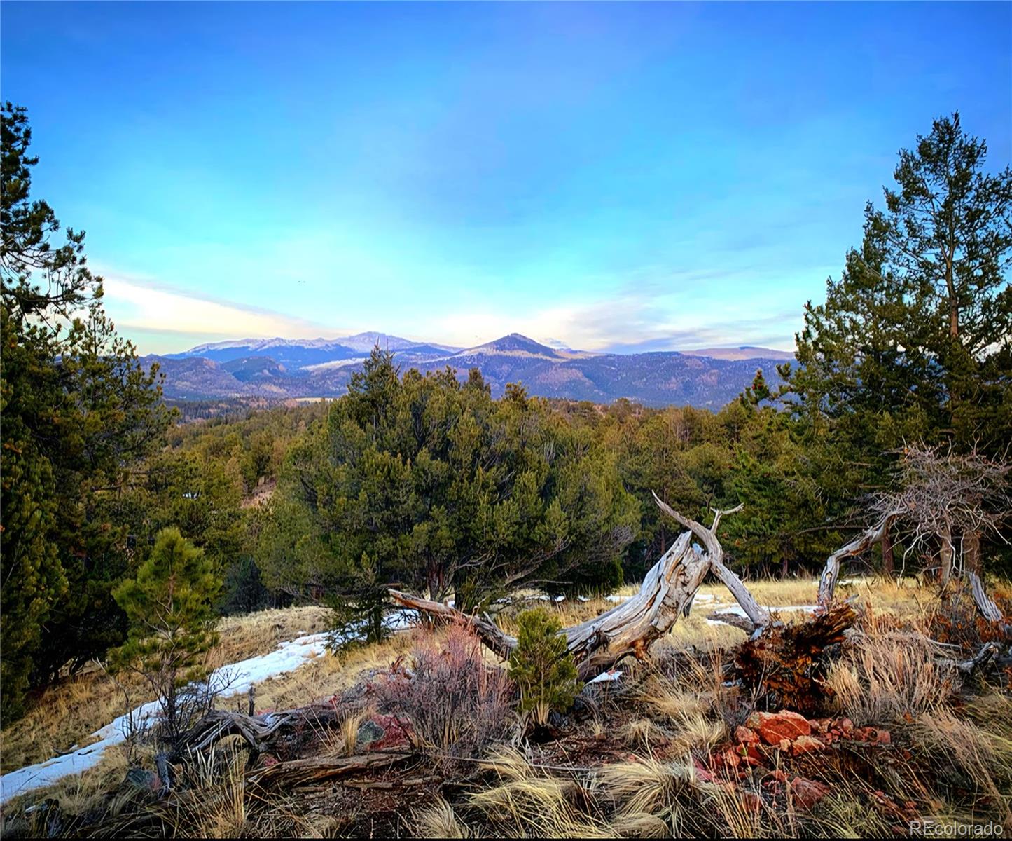 MLS Image #3 for 986  apache road,florissant, Colorado