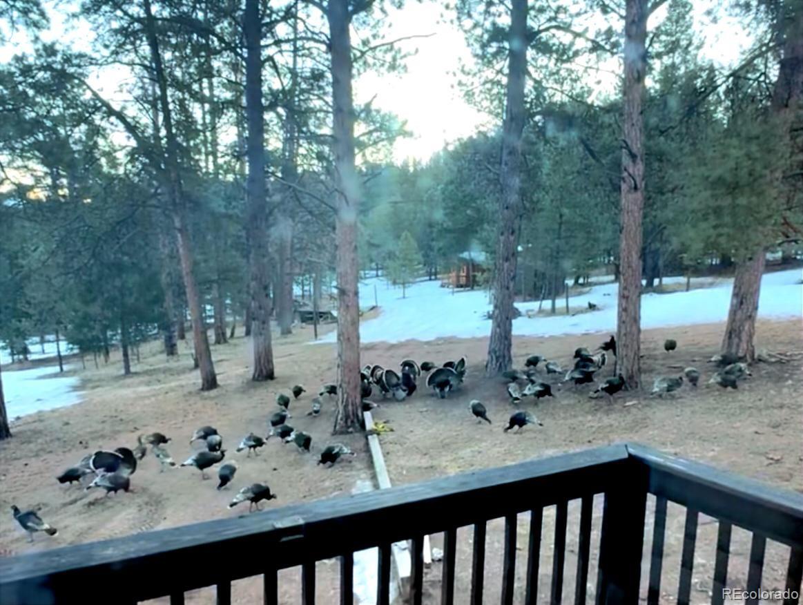 MLS Image #47 for 986  apache road,florissant, Colorado