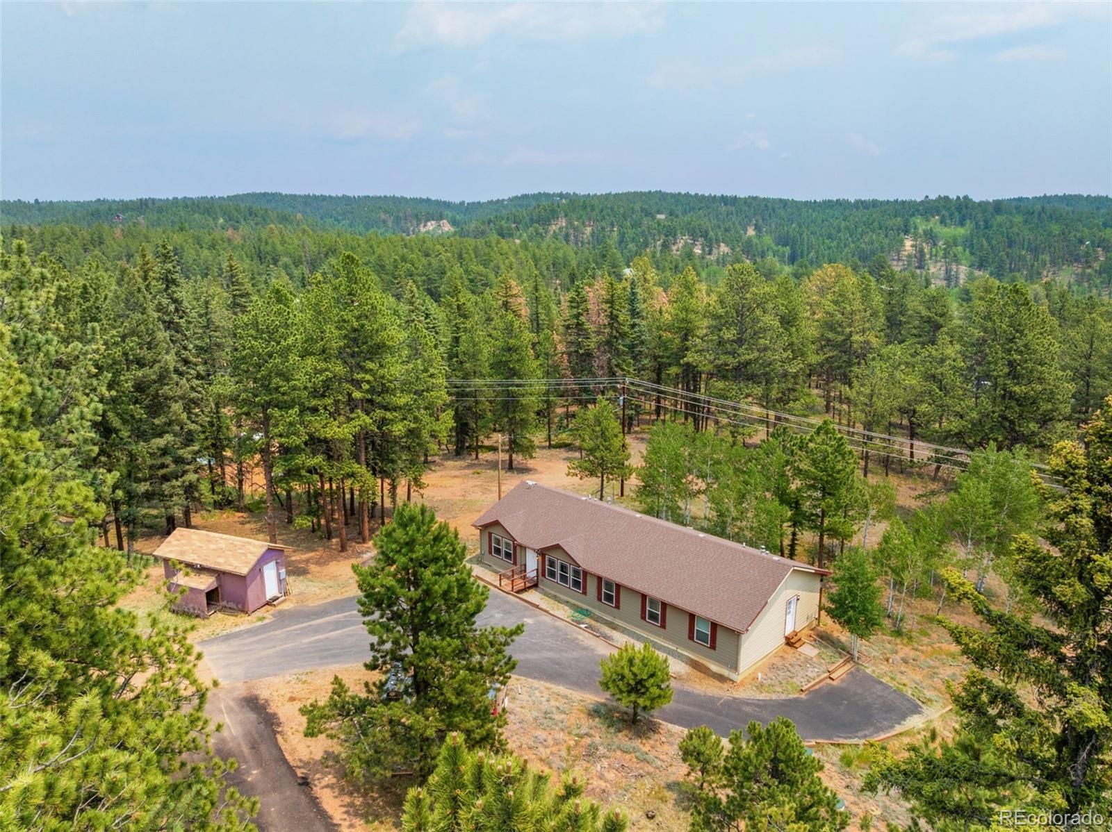 MLS Image #0 for 156  fossil creek road,florissant, Colorado