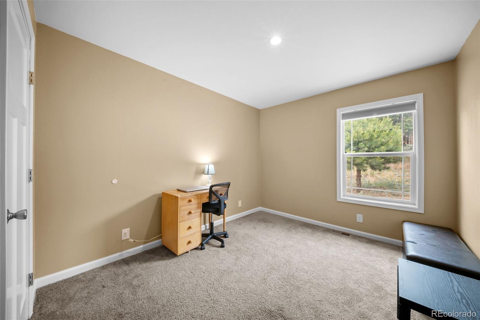 MLS Image #30 for 156  fossil creek road,florissant, Colorado
