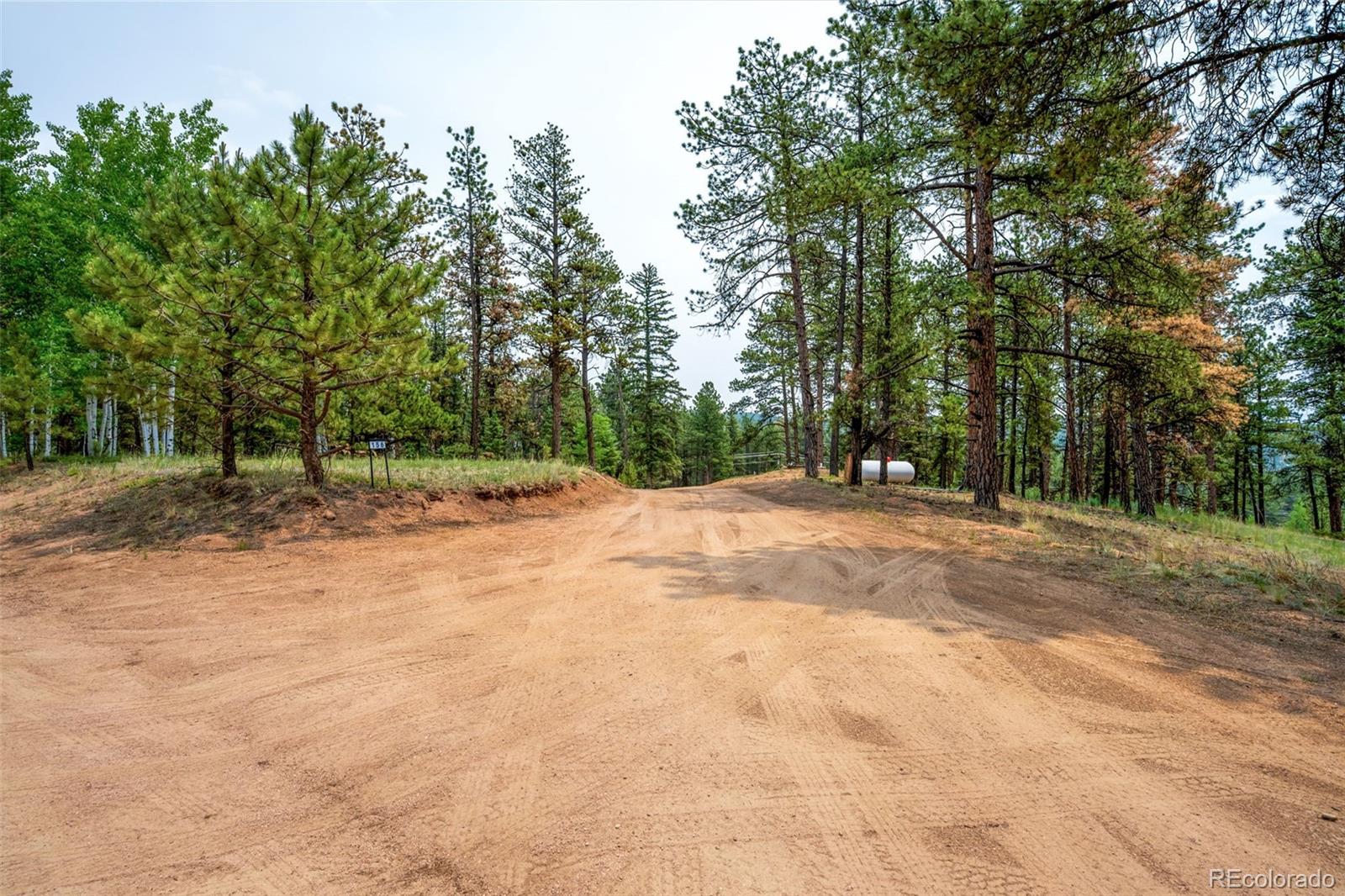 MLS Image #36 for 156  fossil creek road,florissant, Colorado
