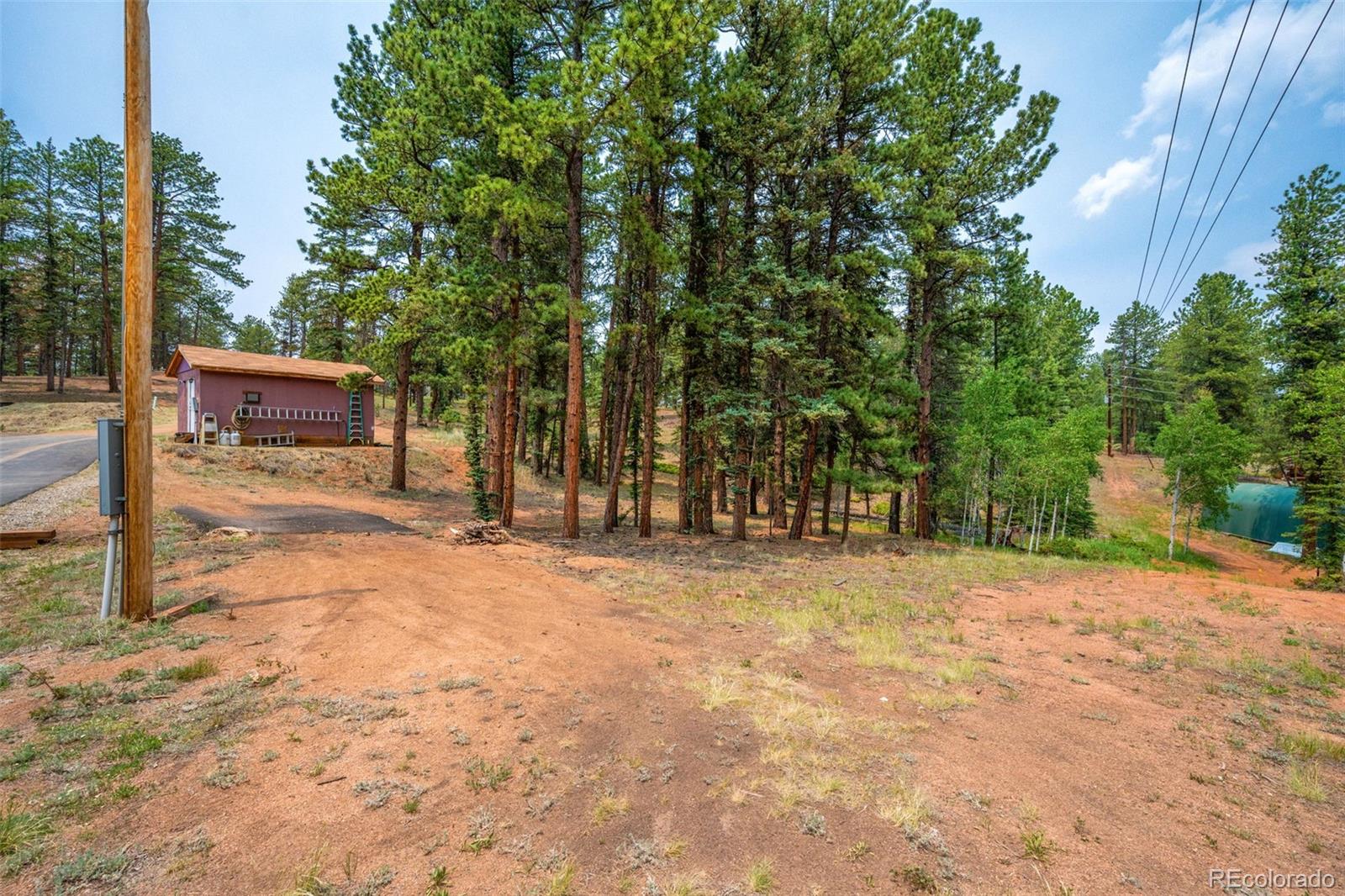MLS Image #37 for 156  fossil creek road,florissant, Colorado