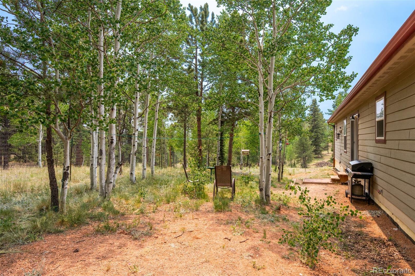 MLS Image #38 for 156  fossil creek road,florissant, Colorado