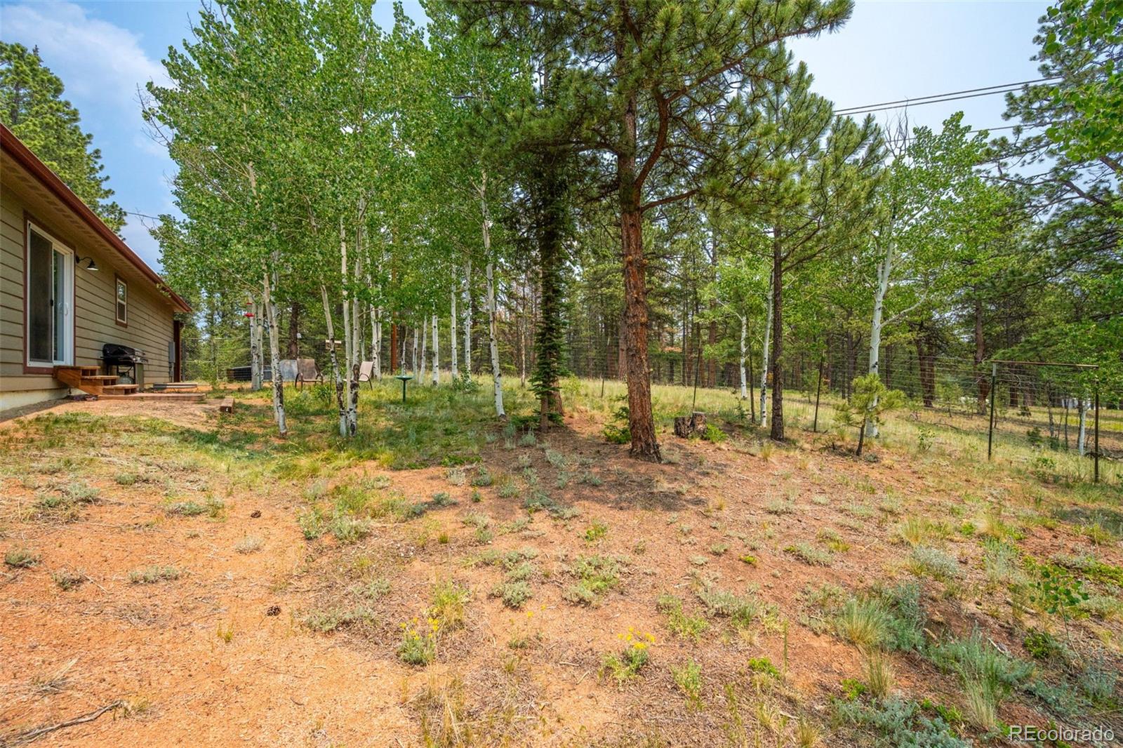 MLS Image #39 for 156  fossil creek road,florissant, Colorado