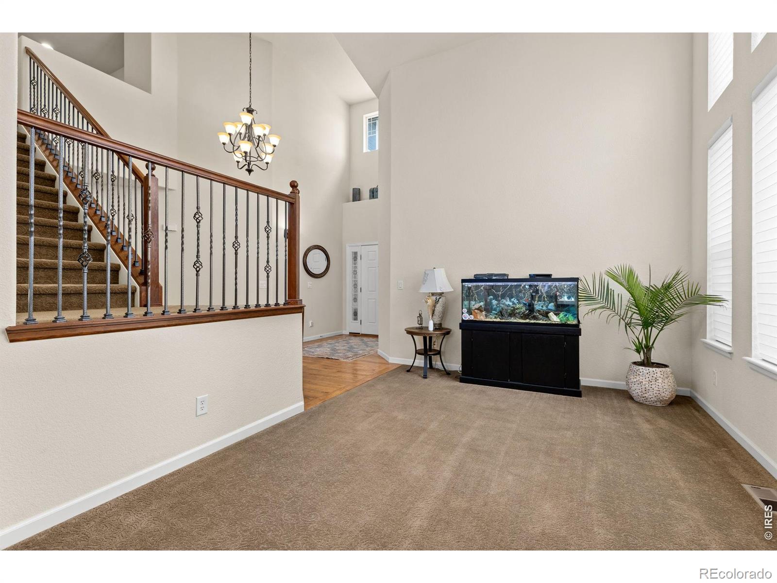 MLS Image #10 for 279  bittern drive,johnstown, Colorado