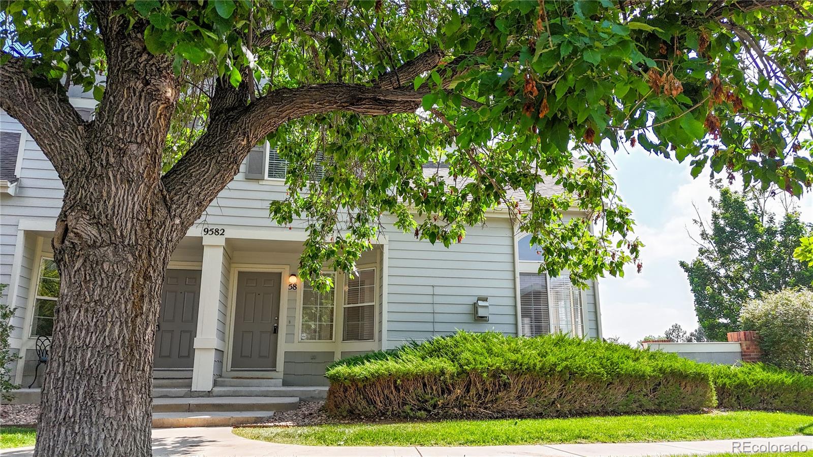 MLS Image #28 for 9582  deerhorn court,parker, Colorado
