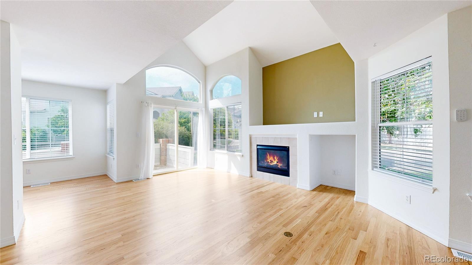 MLS Image #6 for 9582  deerhorn court,parker, Colorado