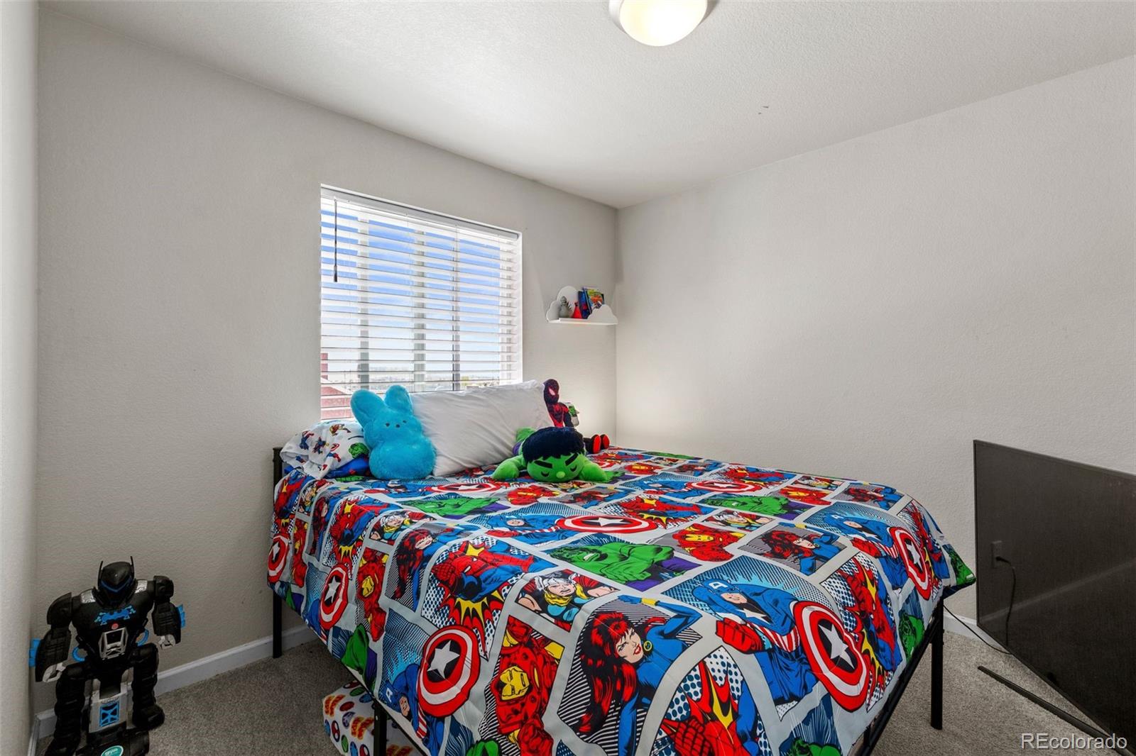 MLS Image #20 for 5216  hidden hills point ,colorado springs, Colorado