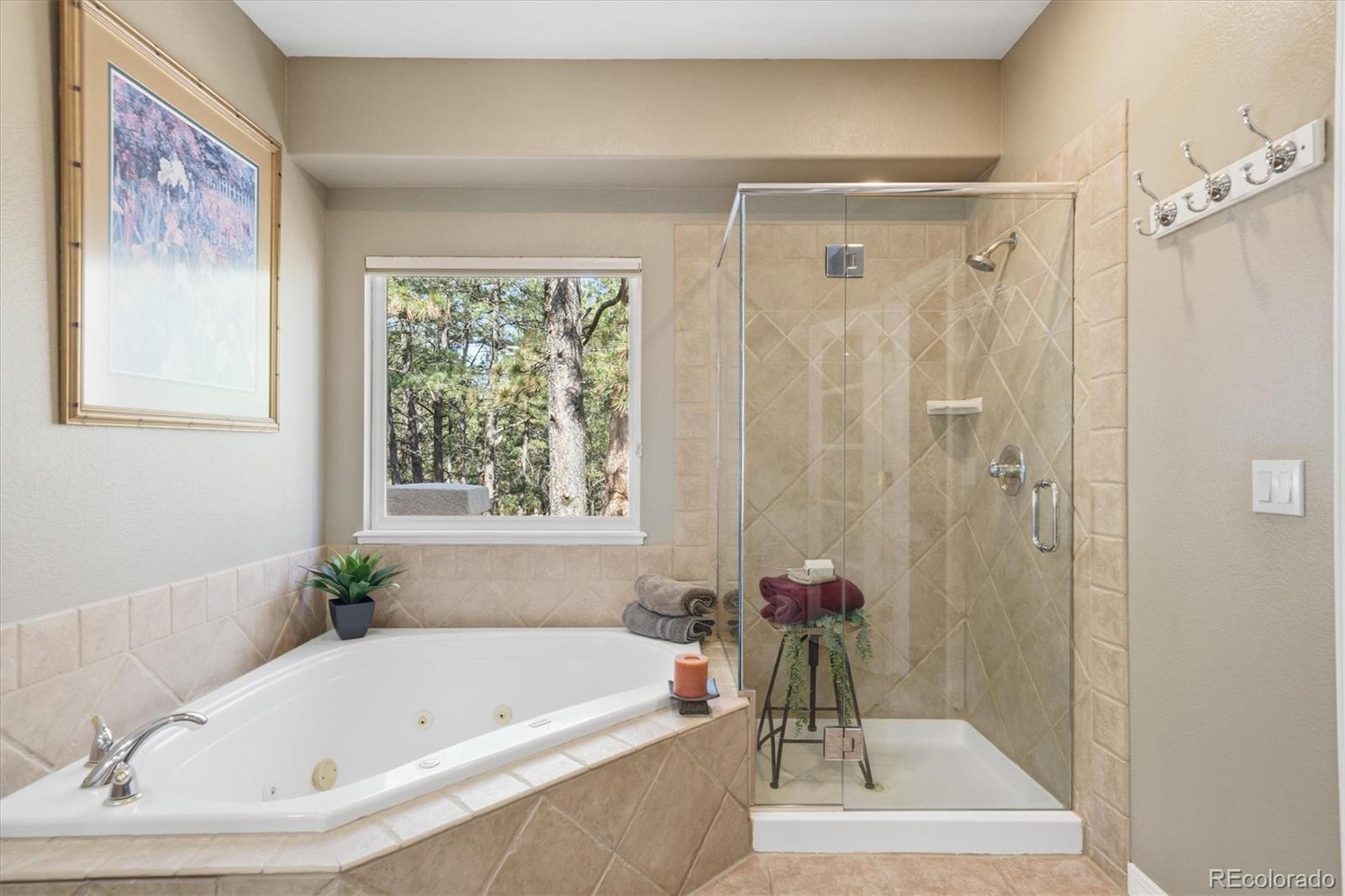 MLS Image #14 for 20470  lockridge drive,colorado springs, Colorado