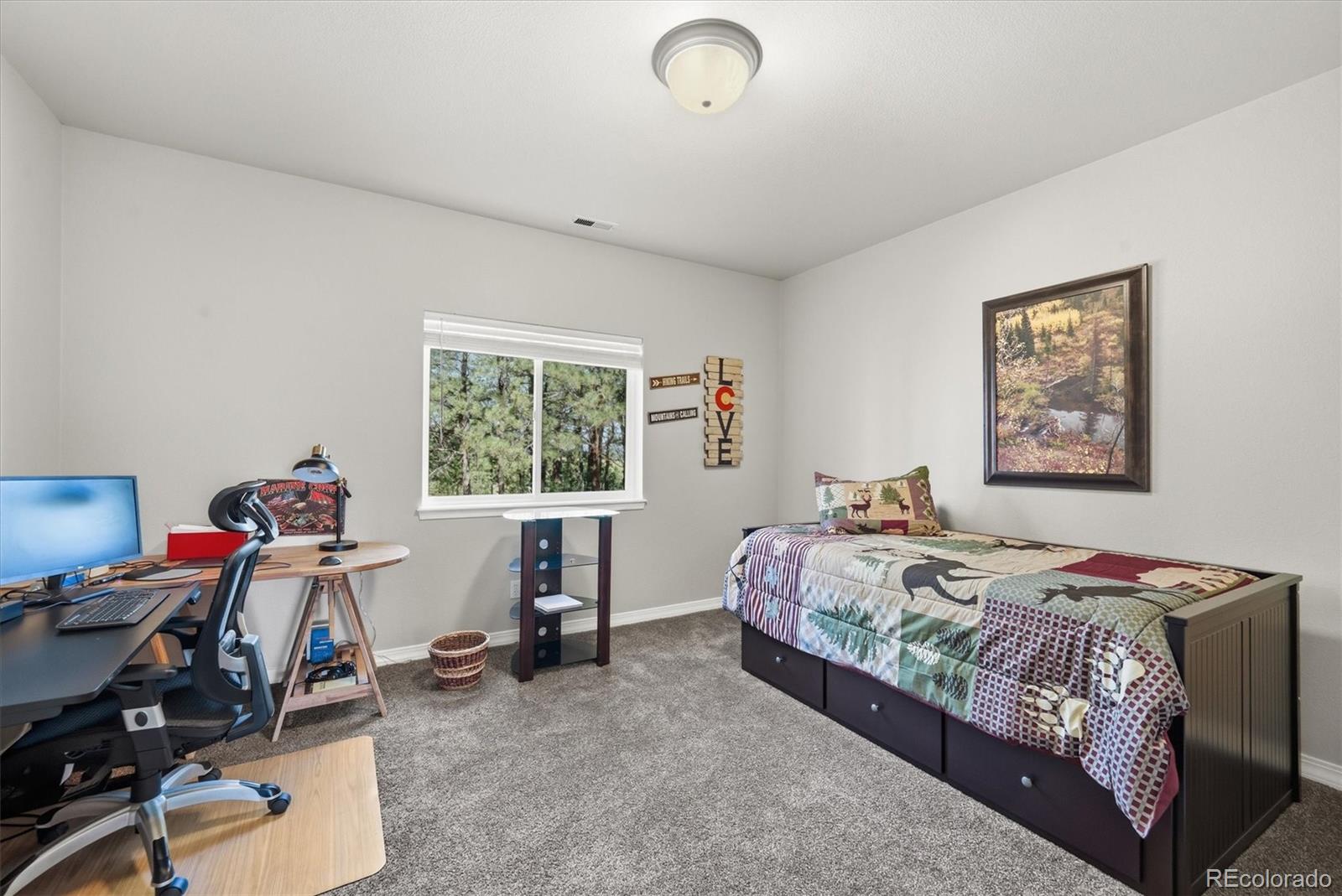 MLS Image #28 for 20470  lockridge drive,colorado springs, Colorado