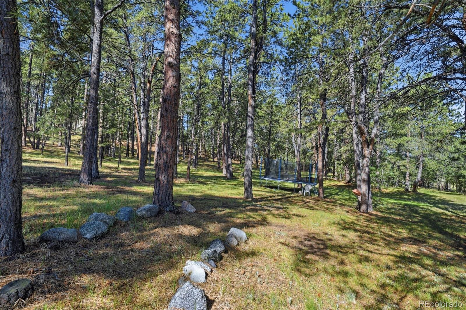 MLS Image #45 for 20470  lockridge drive,colorado springs, Colorado