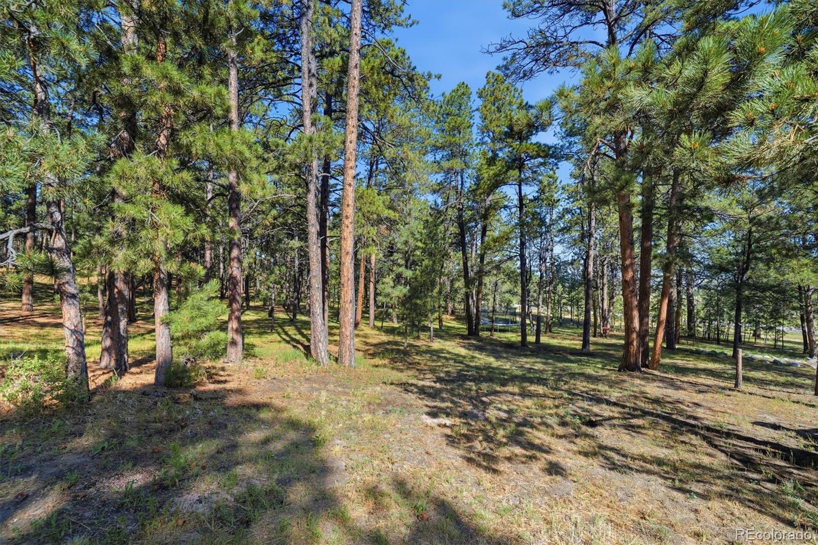 MLS Image #46 for 20470  lockridge drive,colorado springs, Colorado