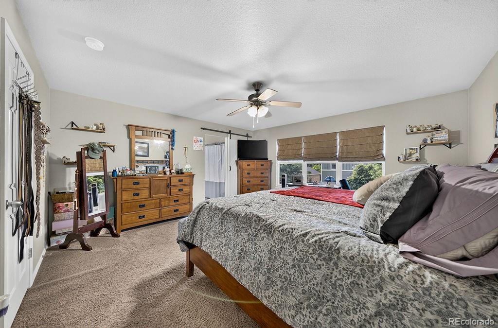 MLS Image #21 for 7534  wrangler ridge drive,colorado springs, Colorado