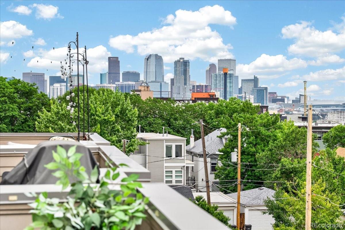 MLS Image #26 for 2132  decatur street,denver, Colorado