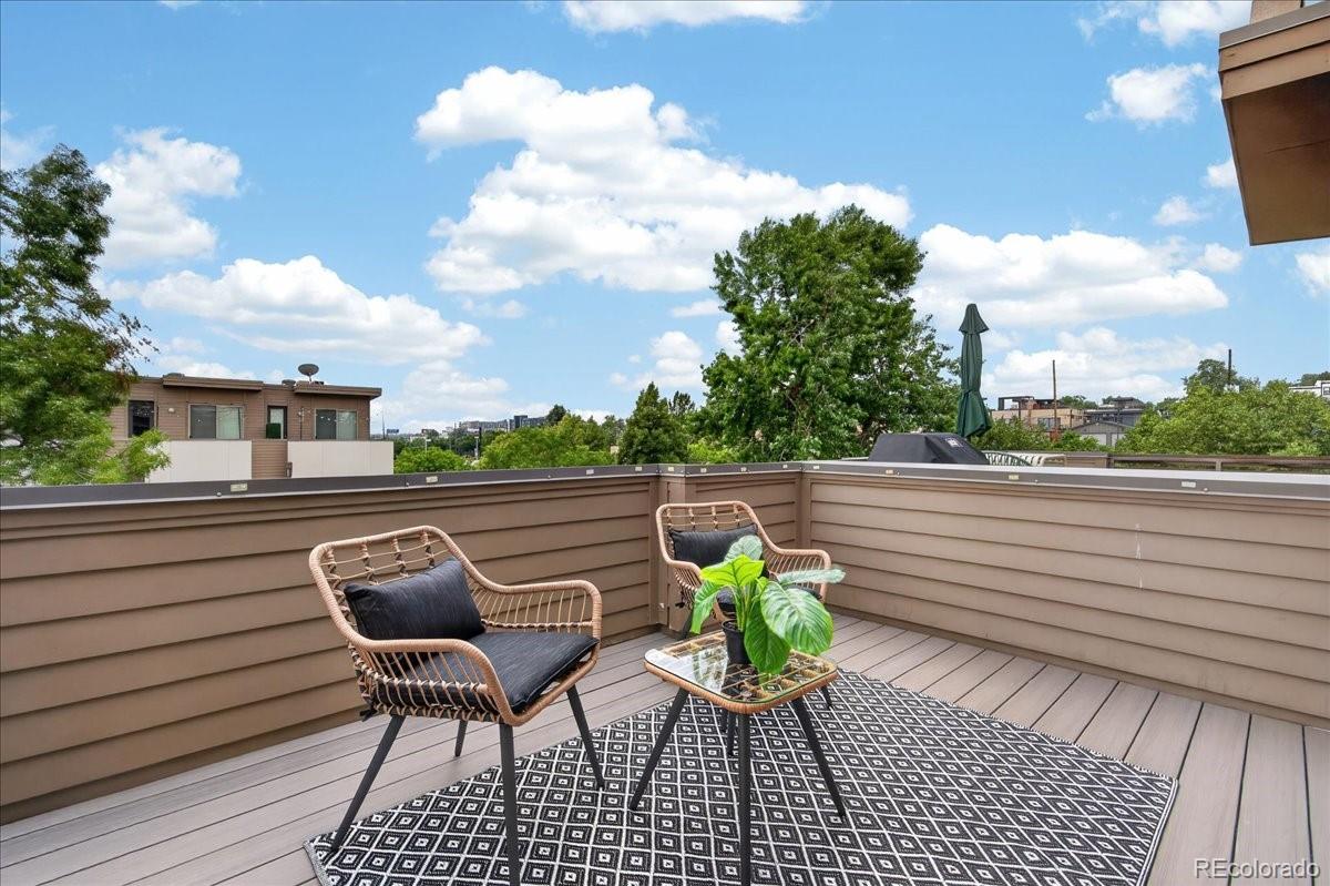 MLS Image #28 for 2132  decatur street,denver, Colorado
