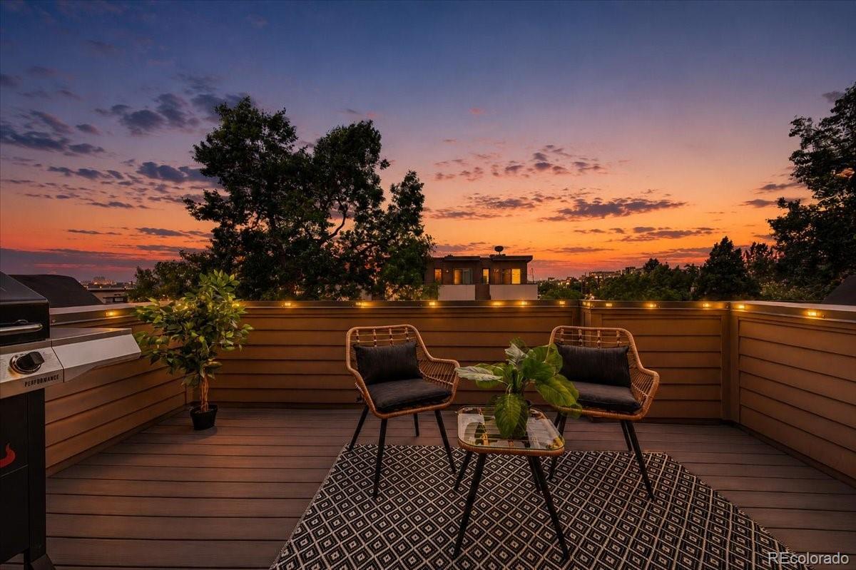 MLS Image #45 for 2132  decatur street,denver, Colorado