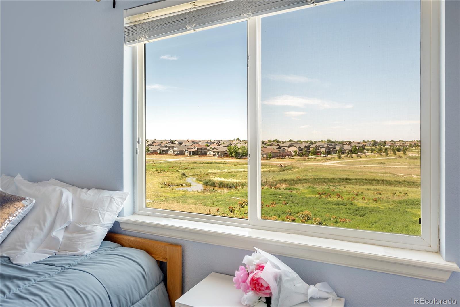 MLS Image #24 for 10293  norfolk street,commerce city, Colorado