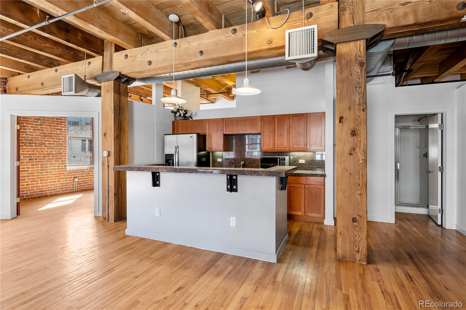 MLS Image #23 for 1745  wazee street,denver, Colorado