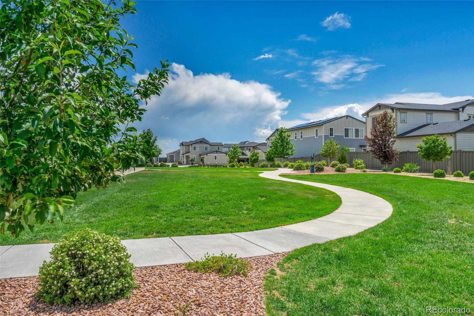 MLS Image #40 for 5834  spring breeze drive,colorado springs, Colorado