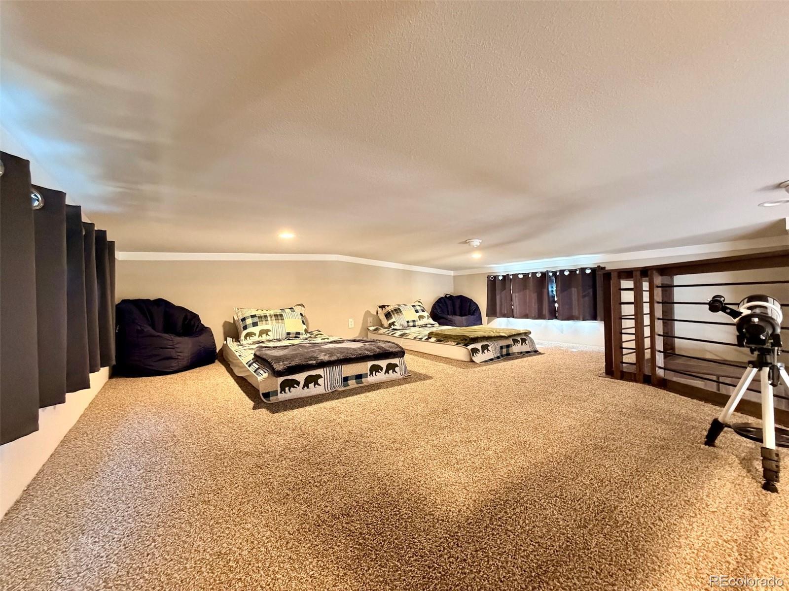 MLS Image #6 for 10795  county road 197a ,nathrop, Colorado
