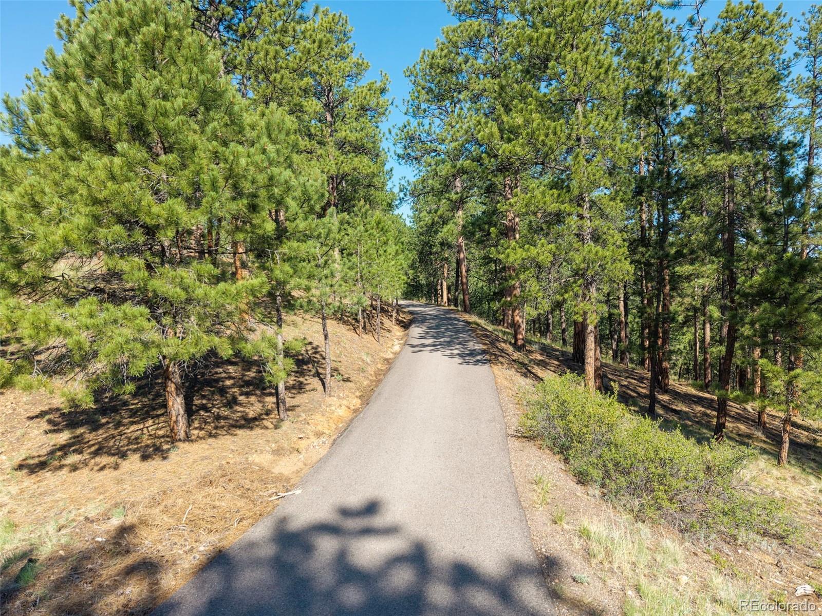 MLS Image #44 for 2828  quartz ridge road,evergreen, Colorado