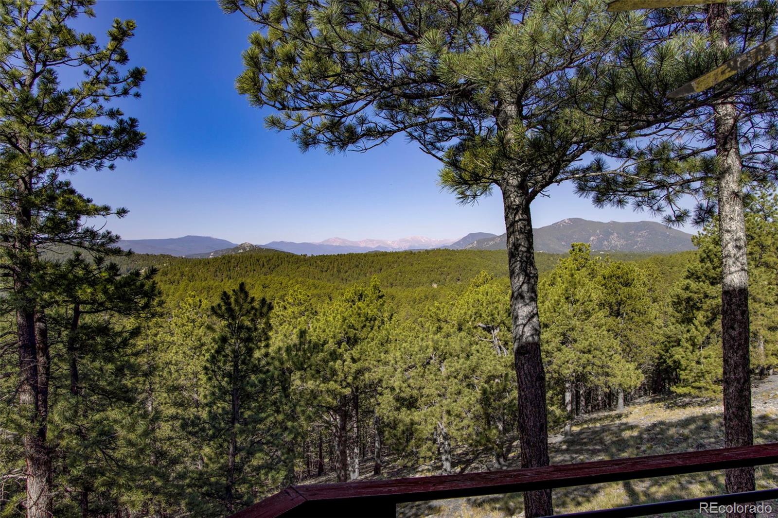 MLS Image #9 for 2828  quartz ridge road,evergreen, Colorado