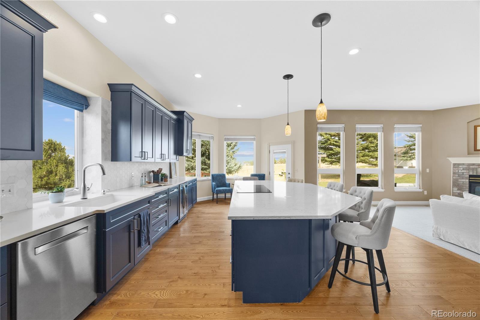 MLS Image #13 for 1016  amanda pines drive,parker, Colorado