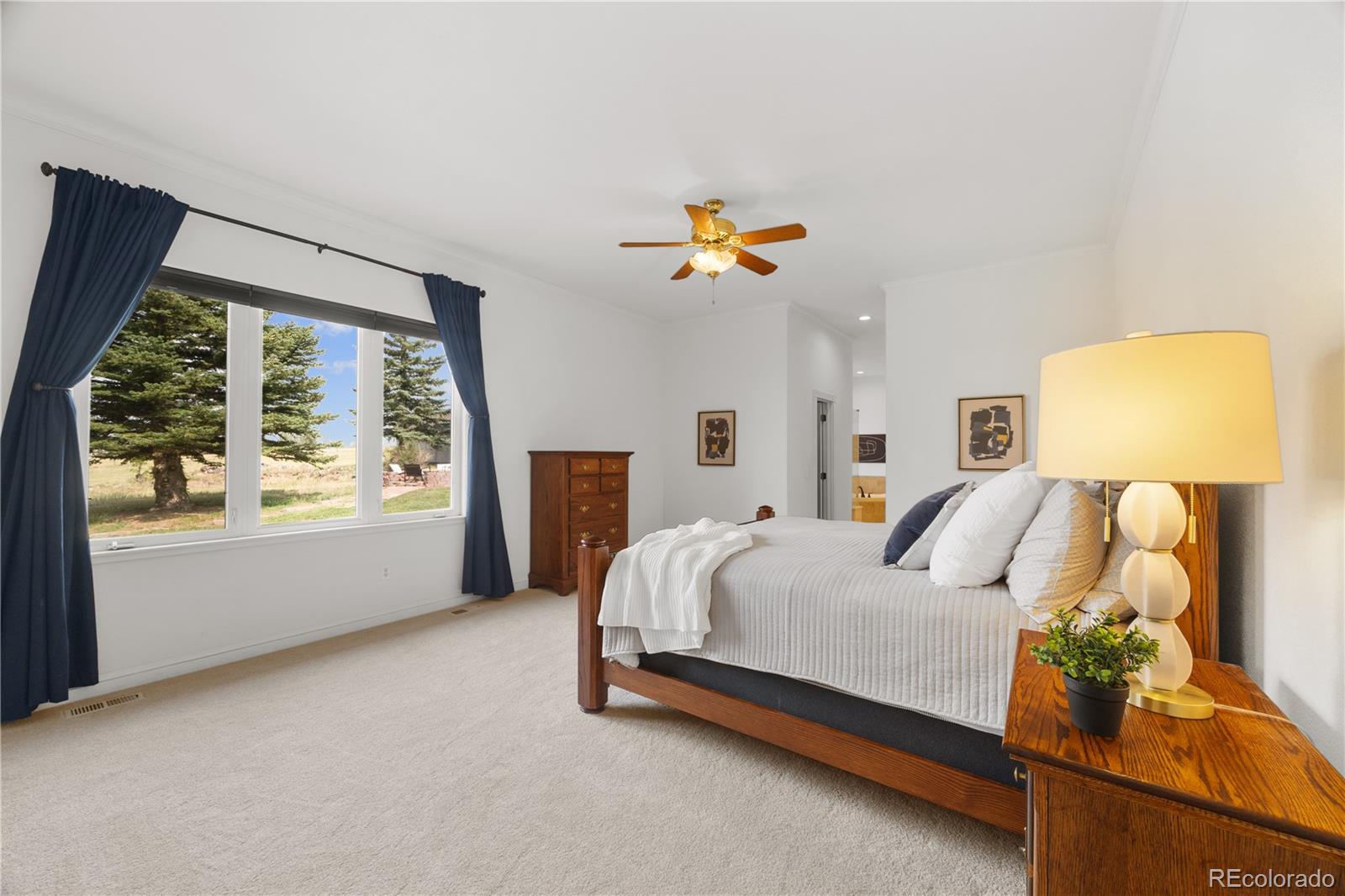 MLS Image #16 for 1016  amanda pines drive,parker, Colorado
