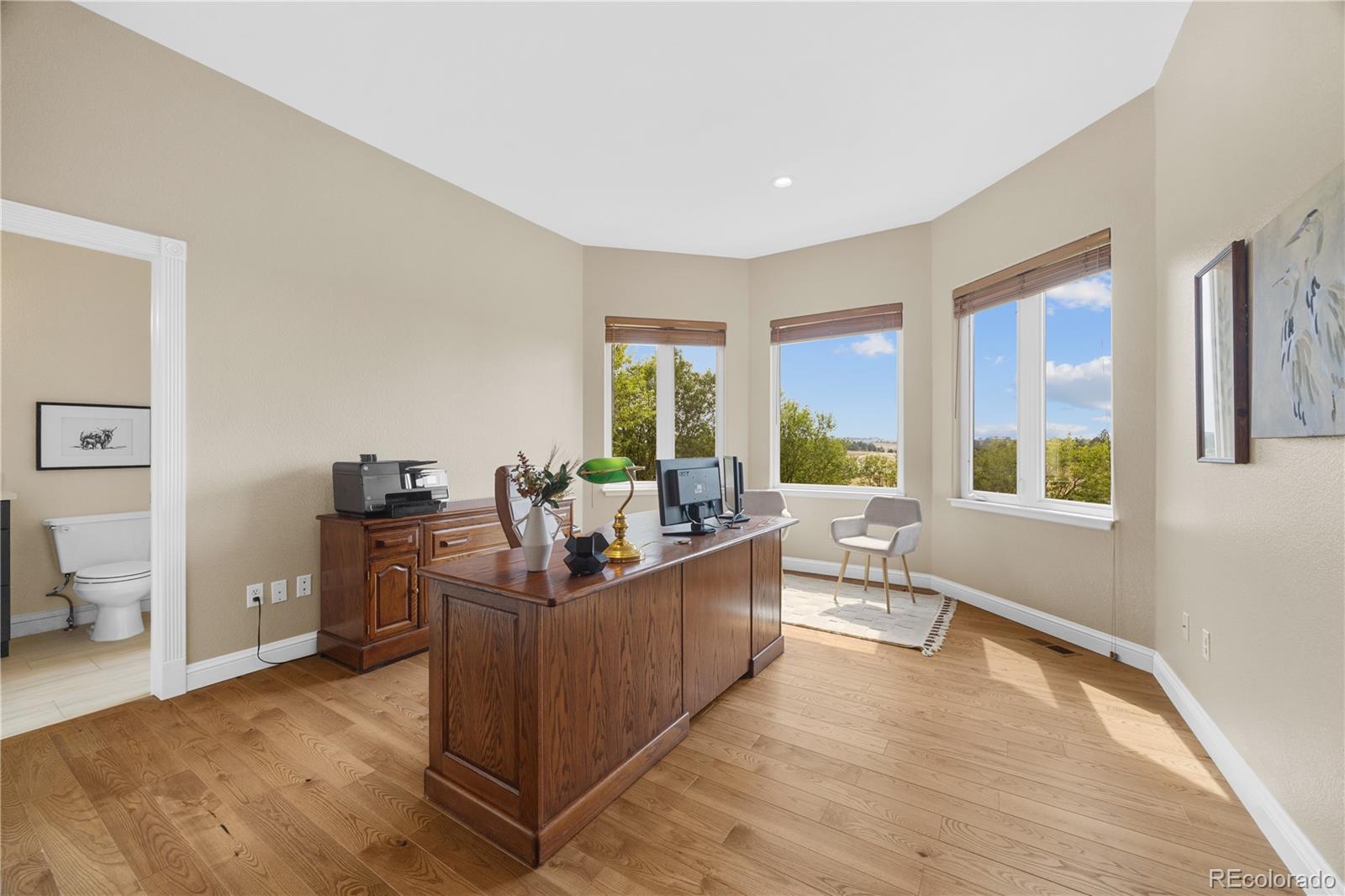 MLS Image #23 for 1016  amanda pines drive,parker, Colorado