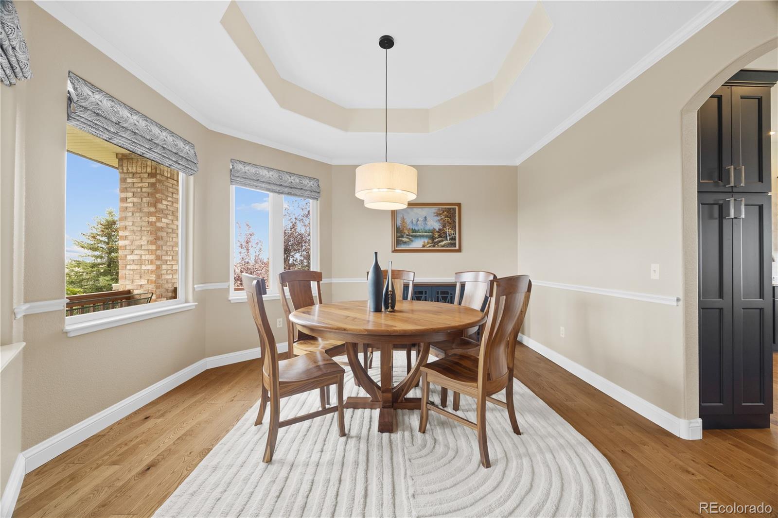 MLS Image #5 for 1016  amanda pines drive,parker, Colorado