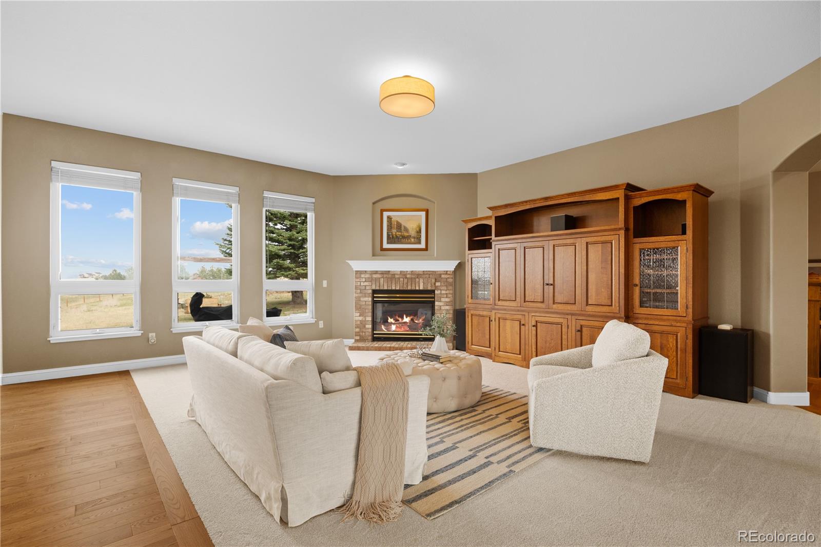 MLS Image #8 for 1016  amanda pines drive,parker, Colorado