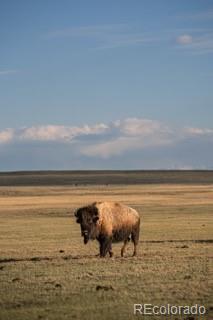 MLS Image #1 for 33185  9 ,hartsel, Colorado
