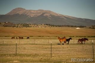 MLS Image #10 for 33185  9 ,hartsel, Colorado
