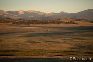 MLS Image #11 for 33185  9 ,hartsel, Colorado