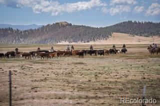 MLS Image #17 for 33185  9 ,hartsel, Colorado