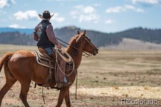 MLS Image #18 for 33185  9 ,hartsel, Colorado