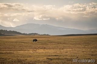 MLS Image #4 for 33185  9 ,hartsel, Colorado