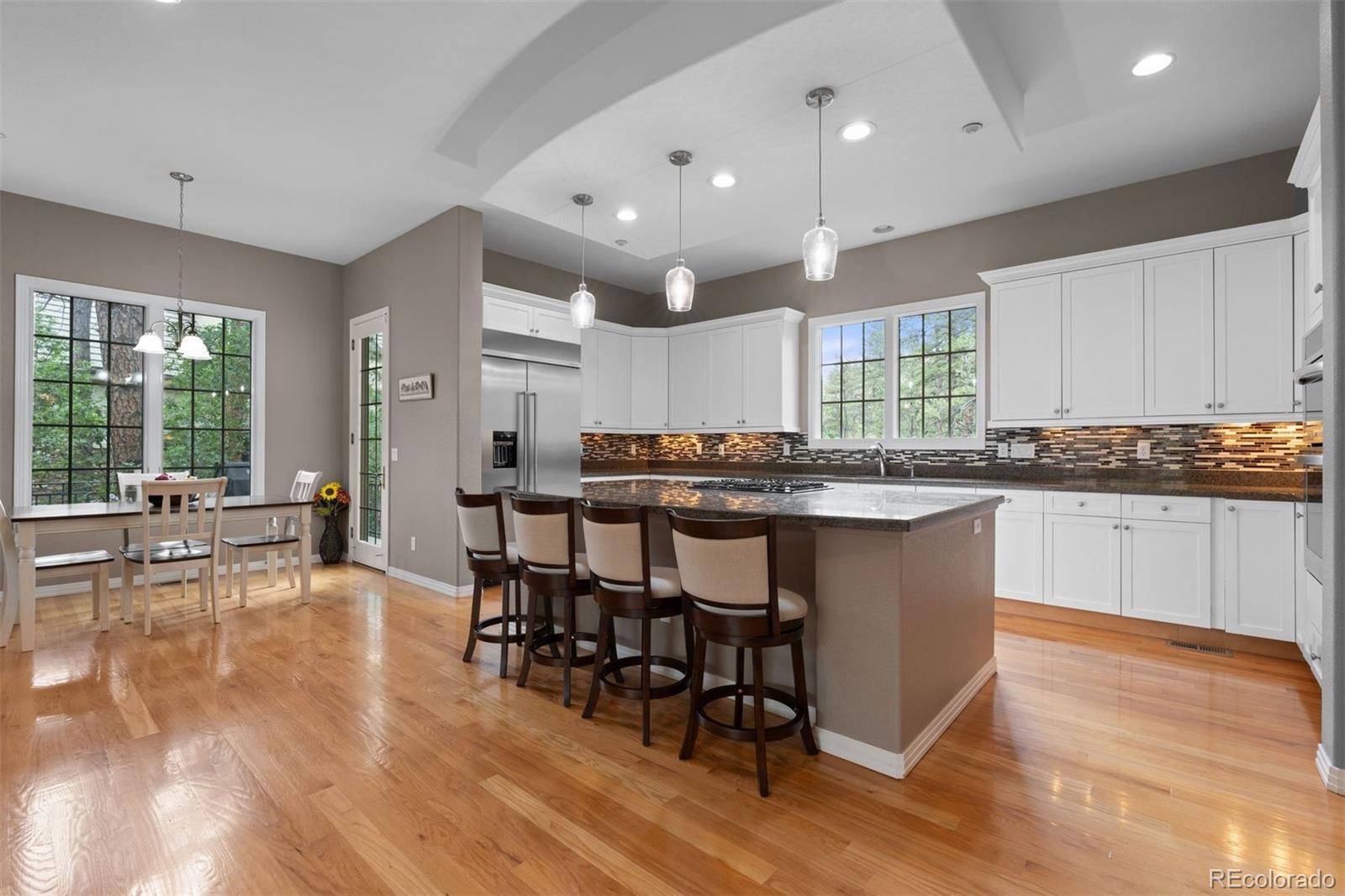 MLS Image #10 for 630  country club lane,castle rock, Colorado