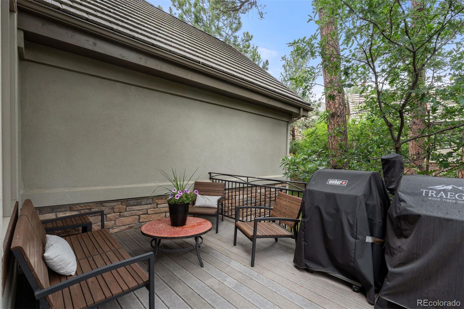 MLS Image #13 for 630  country club lane,castle rock, Colorado