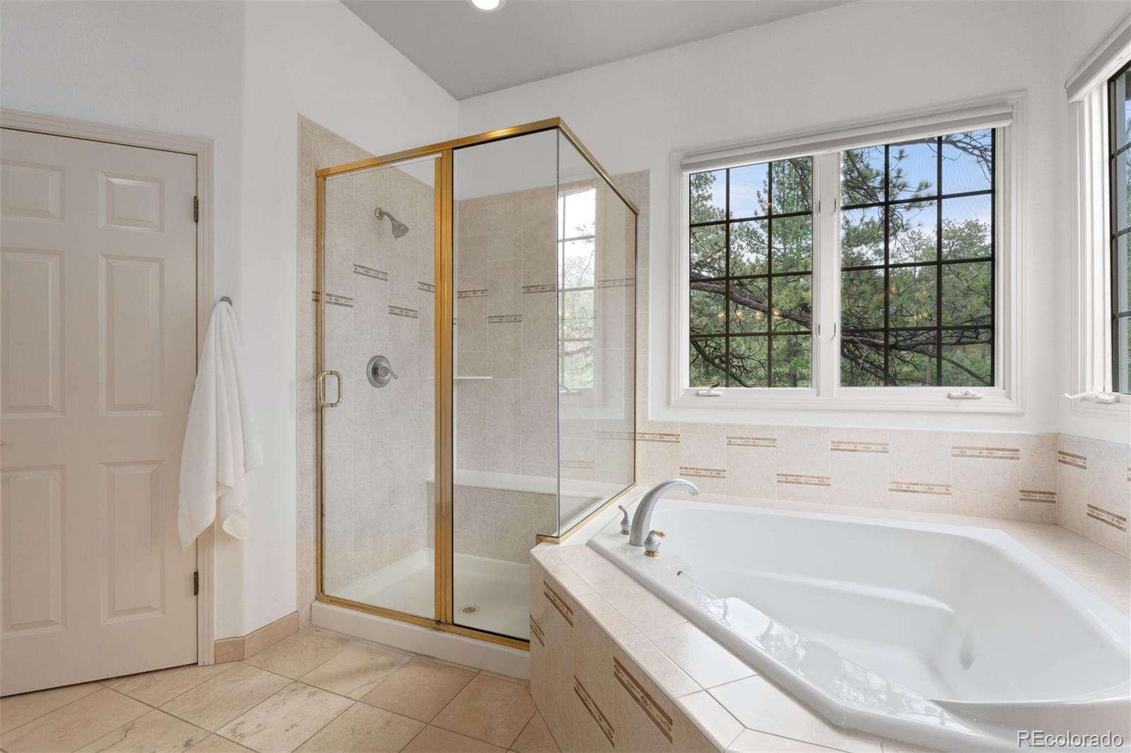 MLS Image #17 for 630  country club lane,castle rock, Colorado