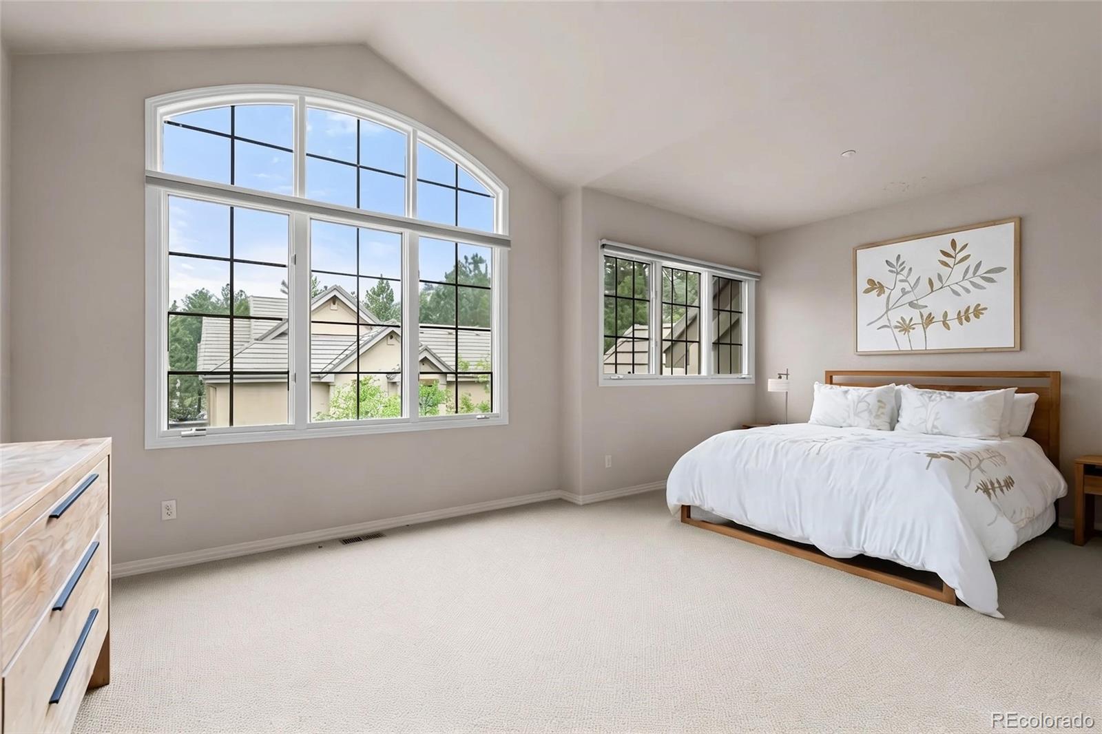 MLS Image #20 for 630  country club lane,castle rock, Colorado