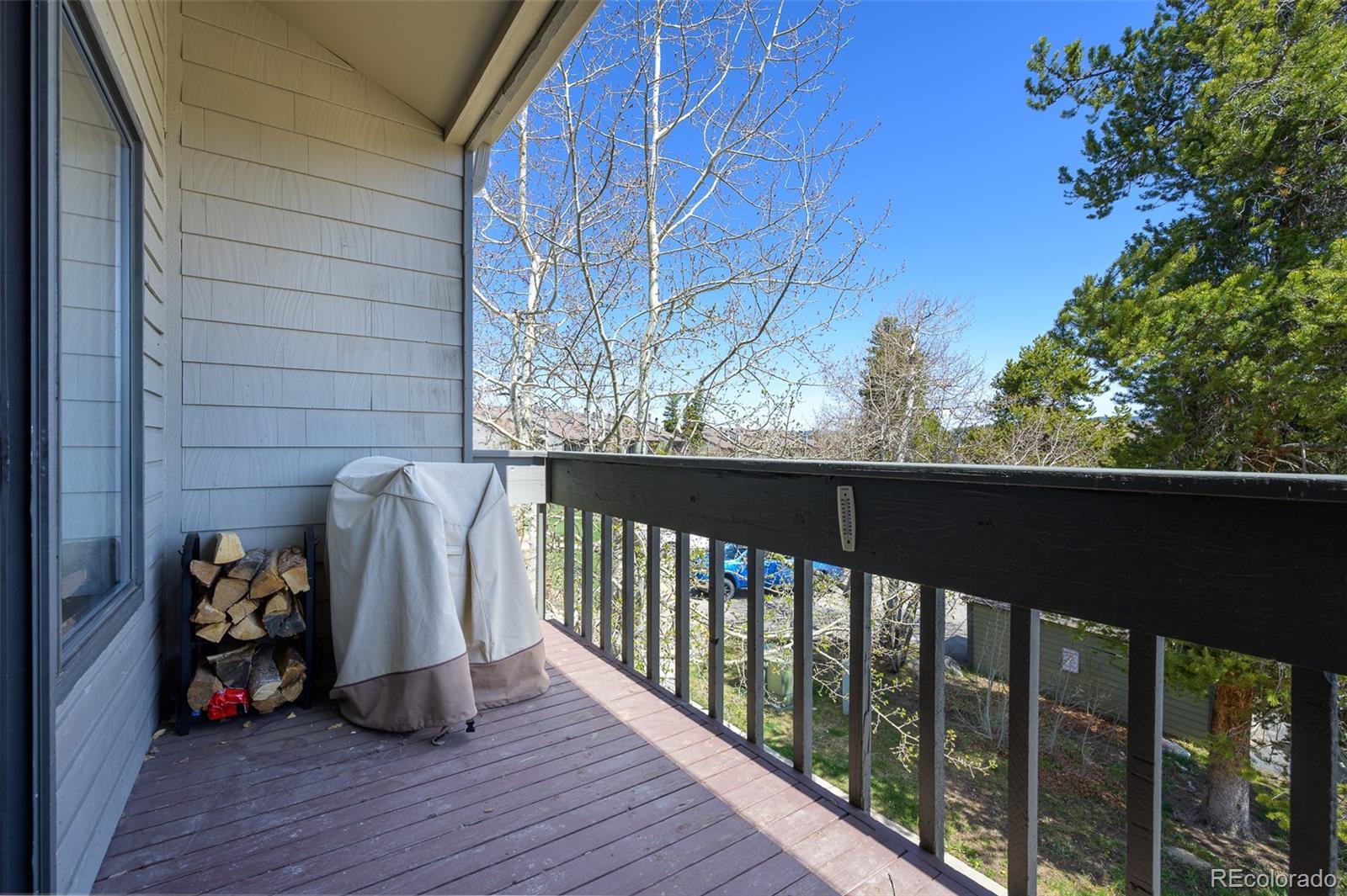 MLS Image #19 for 83  county road 8400 ,fraser, Colorado