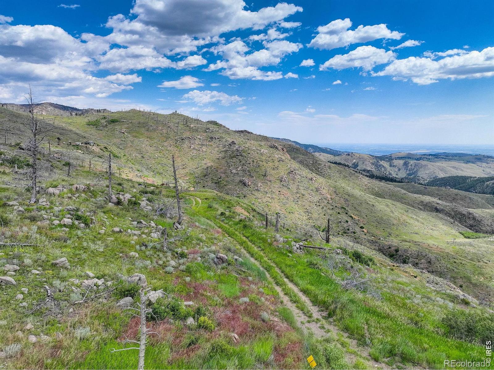 MLS Image #13 for 300  shining star trail,boulder, Colorado
